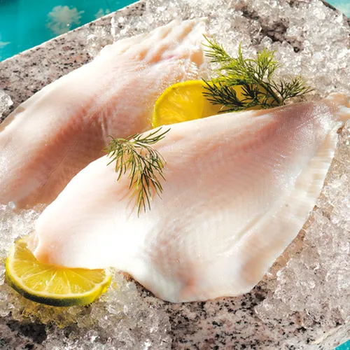 Scholle in Orangensauce mit Gurkensalat